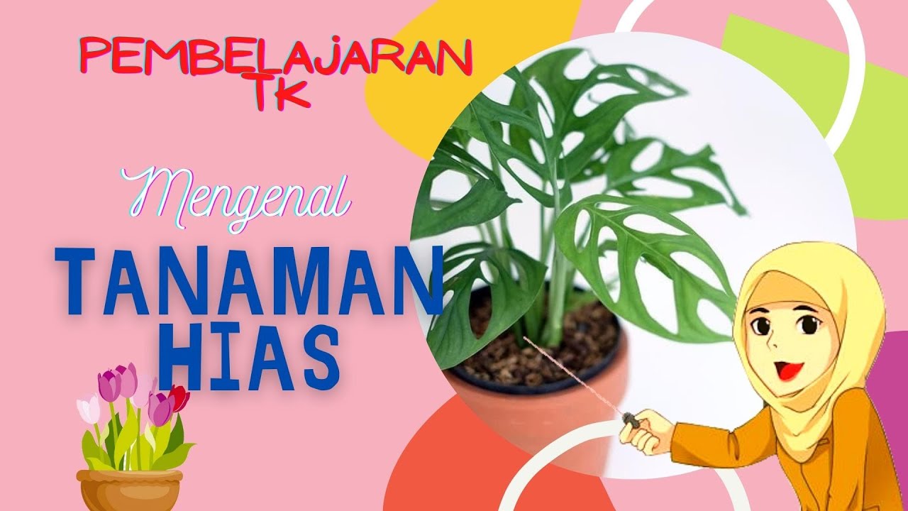 Pembelajaran Seruu,, Mengenal Tanaman Hias