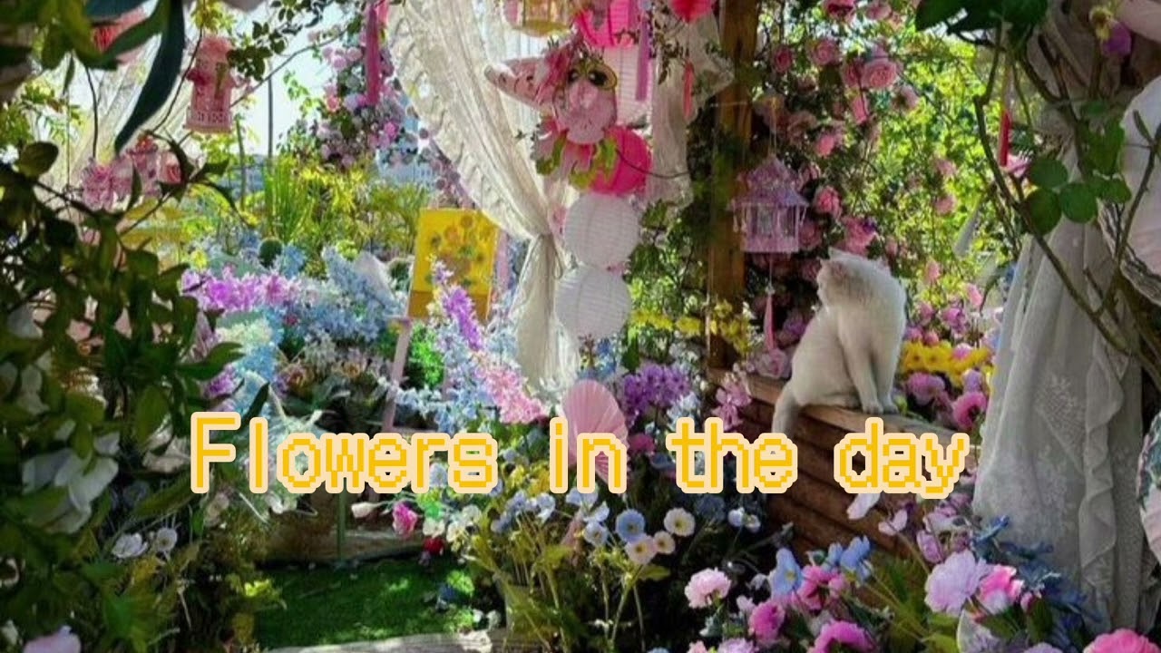 FLOWERS IN THE DAY 🌸🌼🌻🌹 낮의 꽃들 FULL AUDIO- ALBUM-DAYDREAM/DAIZY CREATURES 🖤✨️