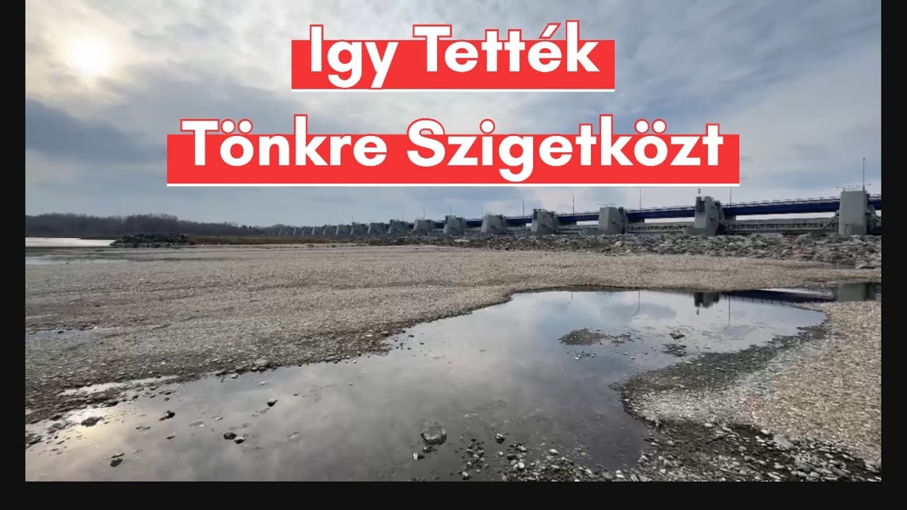 Szigetközi Pontyhorgász Napi Vlog – 3. rész | Így Tették Tönkre Szigetközt a Duna Elterelésével!