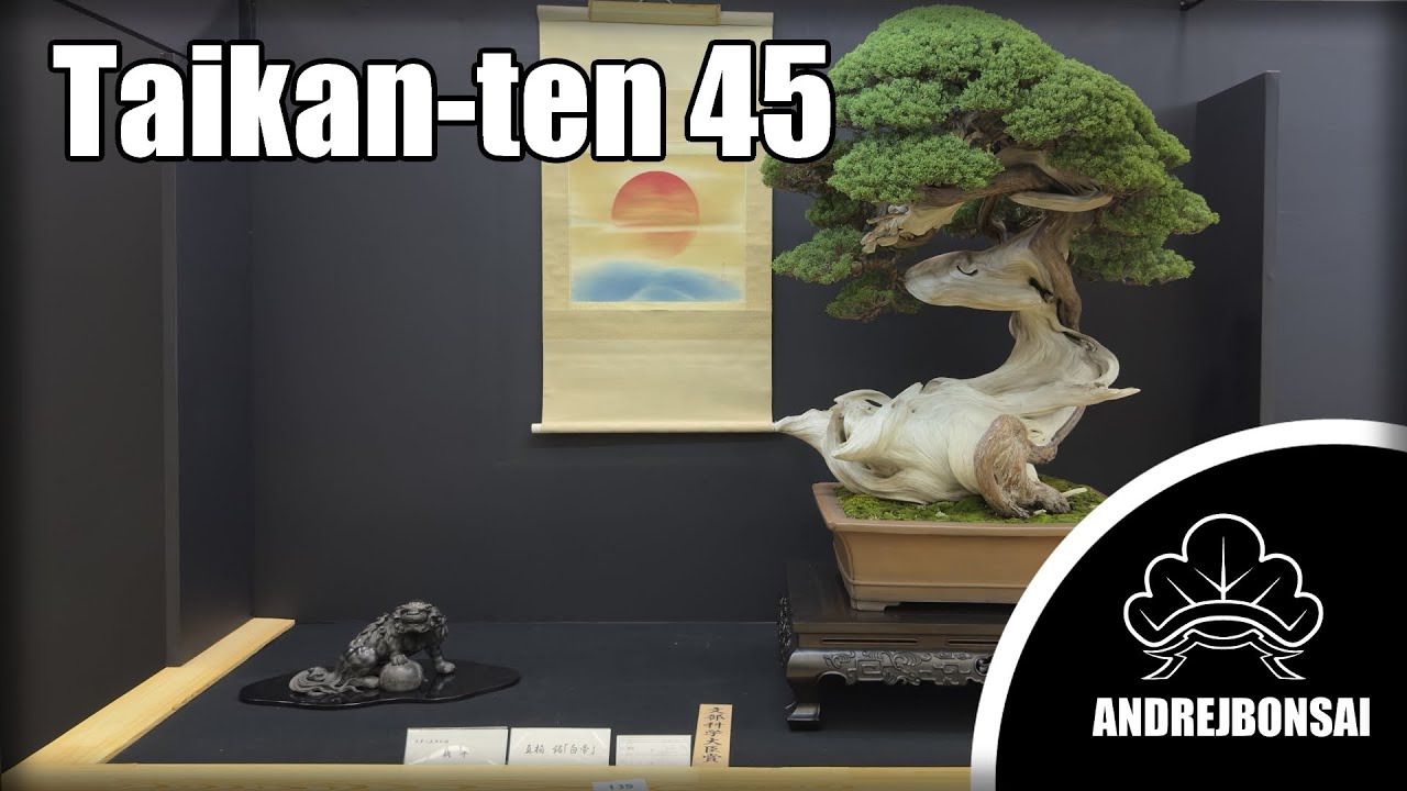 Taikan-ten 45 Bonsai Exhibition 2025
