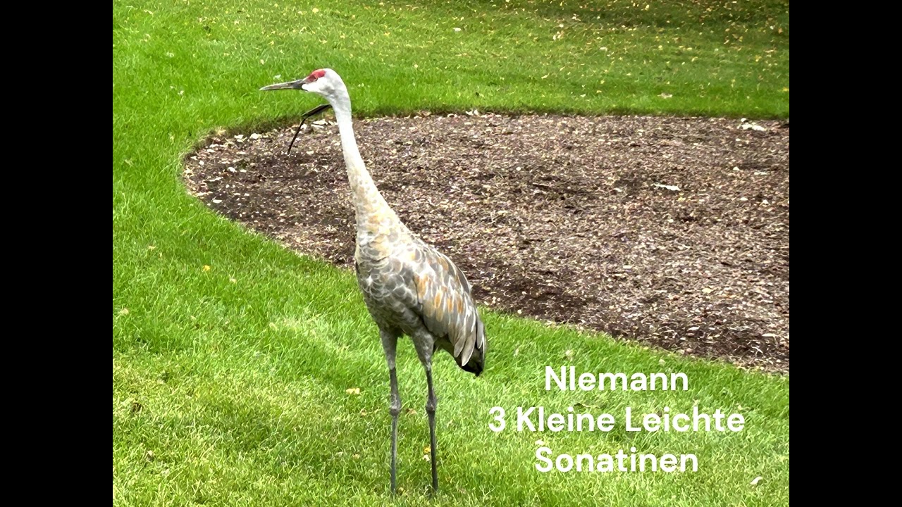 Walter Niemann: Drei Kleine Leichte Sonatinen, Opus 178