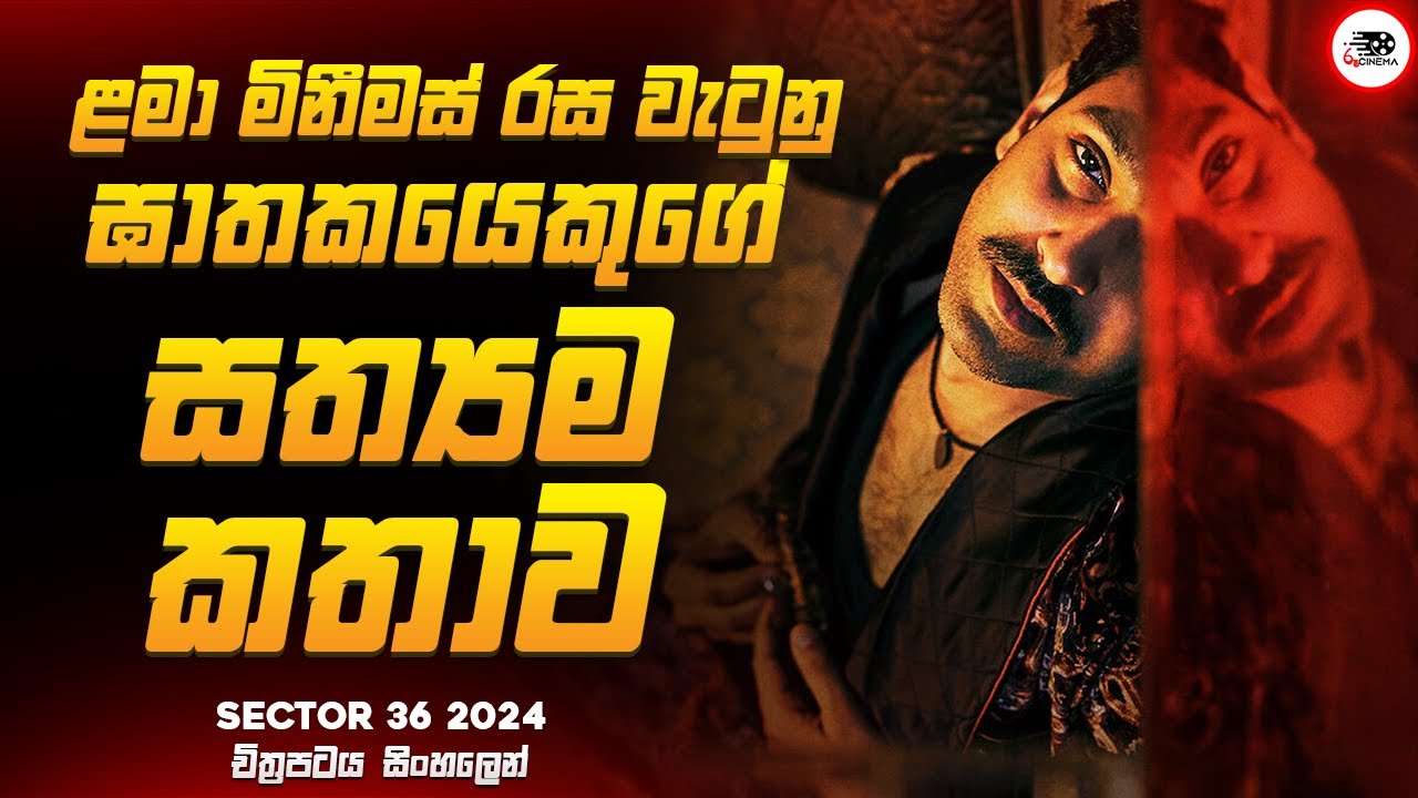 ළමා මිනීමස් රස වැටුනු දාම ඝාතකයෙකුගේ සත්‍යම කතාව 😱🔥|  2024 Movie Explained by Ruu Cinema new