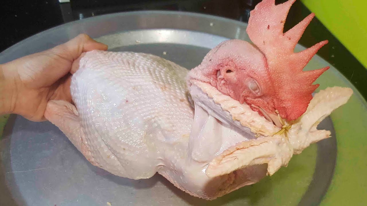 Cách bó GÀ CÚNG chỉ với 2 BƯỚC - Cách bó GÀ CÁNH TIÊN