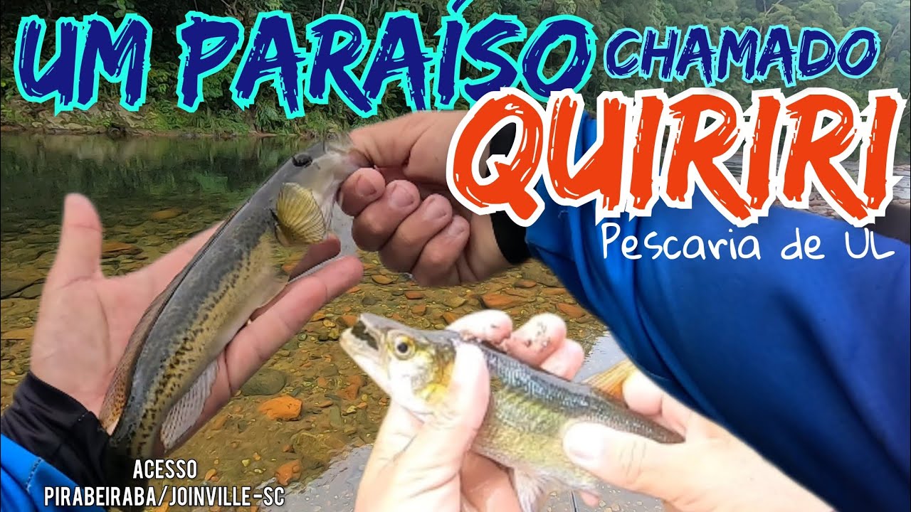 PESCARIA UL/RIO QUIRIRI/JACUNDÁ/SAICANGA/PIRABEIRABA-JOINVILLE-SC