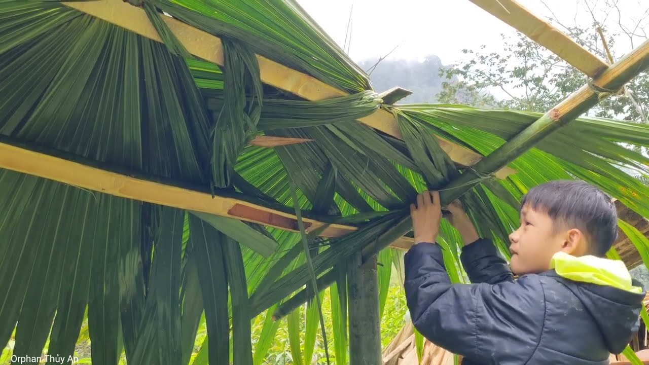 How to Make a Duck House Using Bamboo 2024 - Harvesting Chili Goes to the market sell