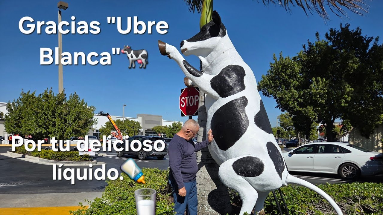 Algo que todos necesitamos y que conseguimos gracias a un amigo.🐄🇨🇺