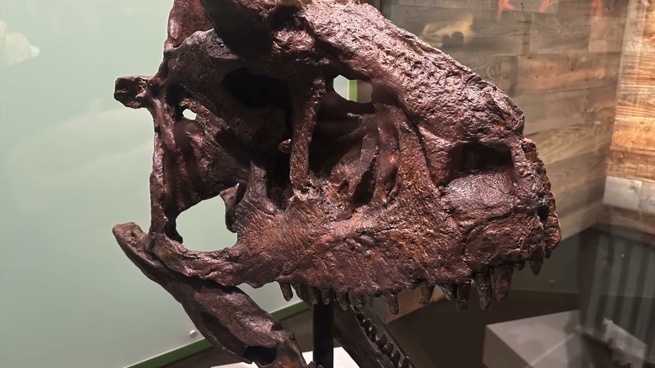 Dinosaurs in Your Family Tree