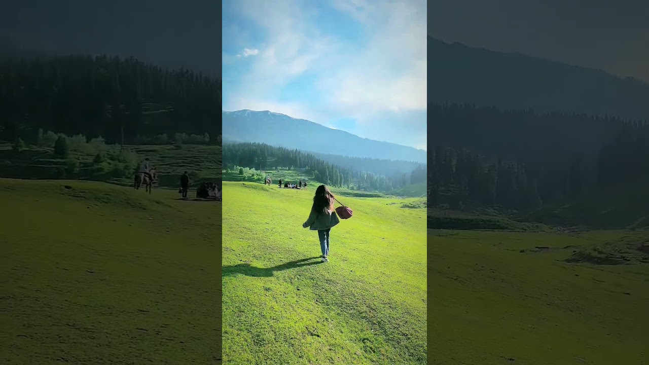 #kashmirtravelvlog #kashmir #kashmirtravel #trending #travel #influencer #strawberryvalley #gulmarg