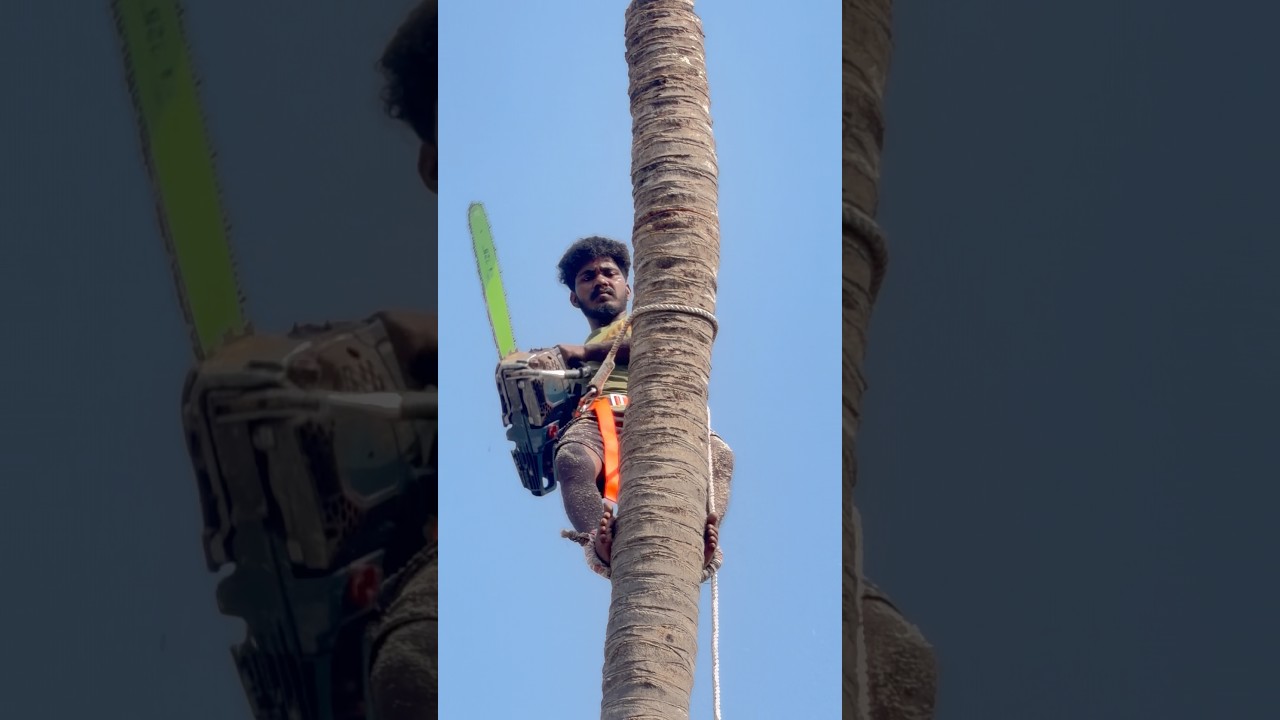 anbu tree cutting work#reels