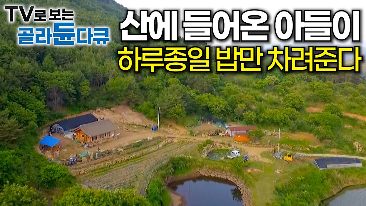 귀농 1년 차, 자연인 된 아들이 하루종일 아무 것도 안하고 밥만 차린다┃삼시세끼 차리면 하루 끝. 이 맛에 산다는 오지 사람들┃한국기행┃#골라듄다큐