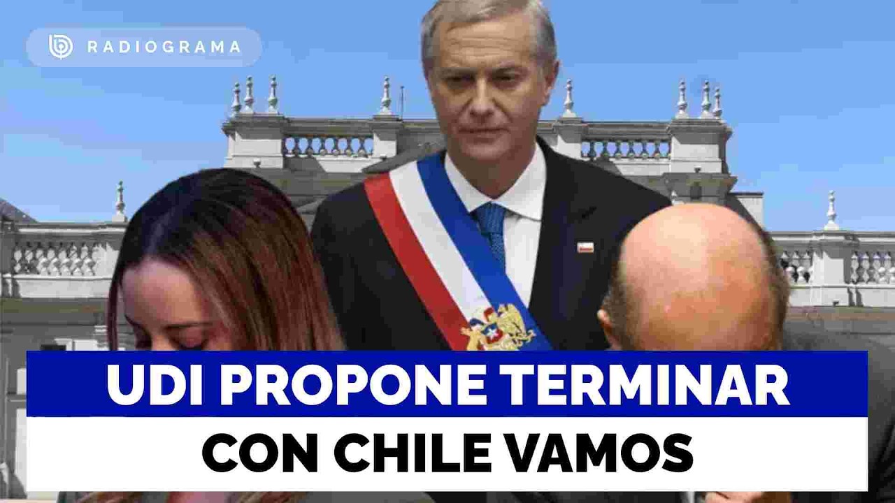 UDI propone terminar con 
