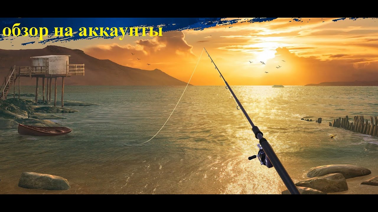 Обзор на аккаунты FC, FR