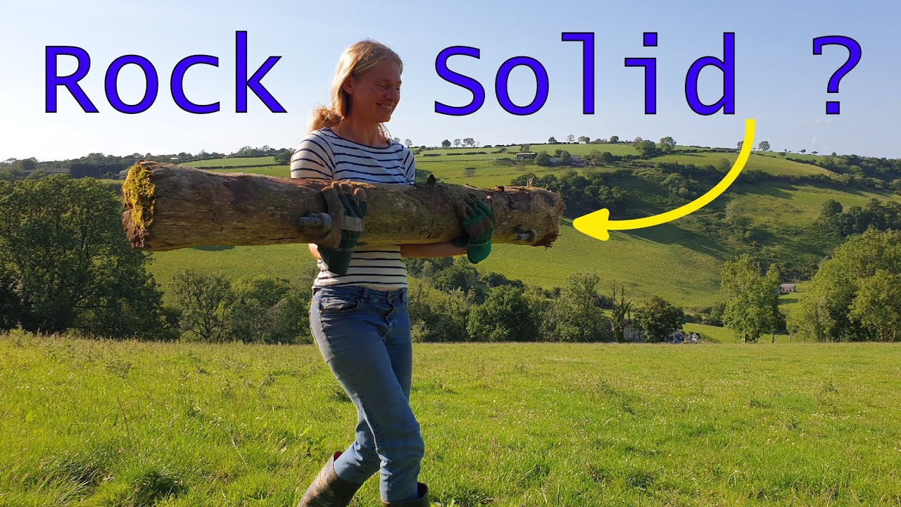 The 3 secrets to ROT PROOF POSTS and how to make them