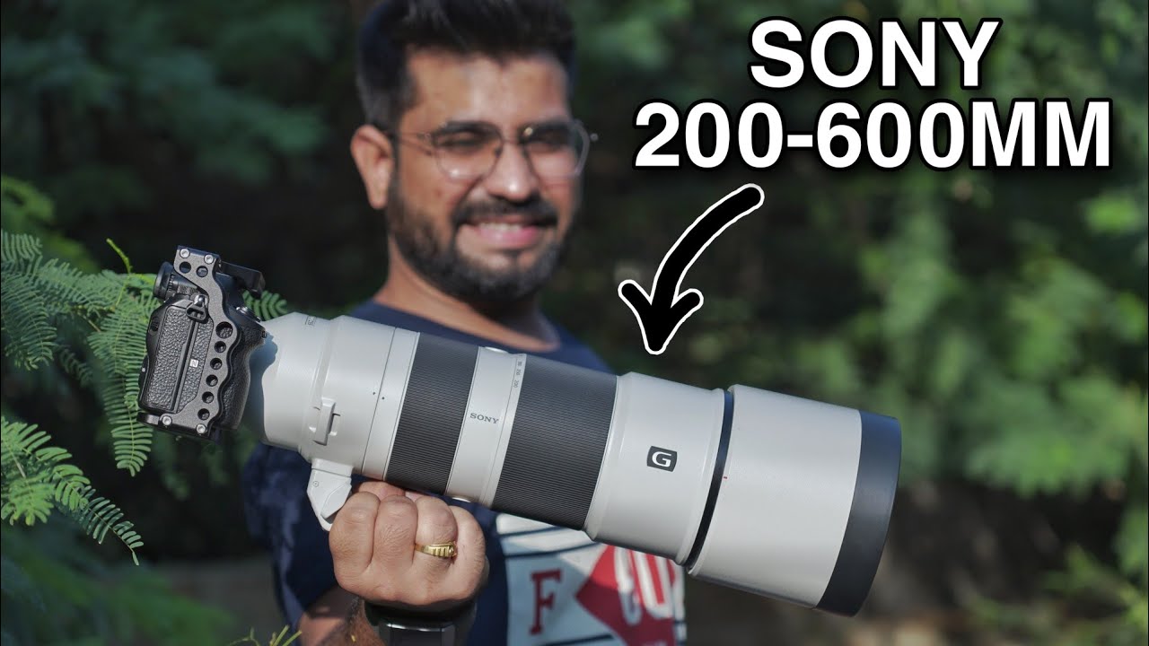 Супертелеобъектив Sony 200-600 мм G OSS | Полный обзор с тестовыми кадрами