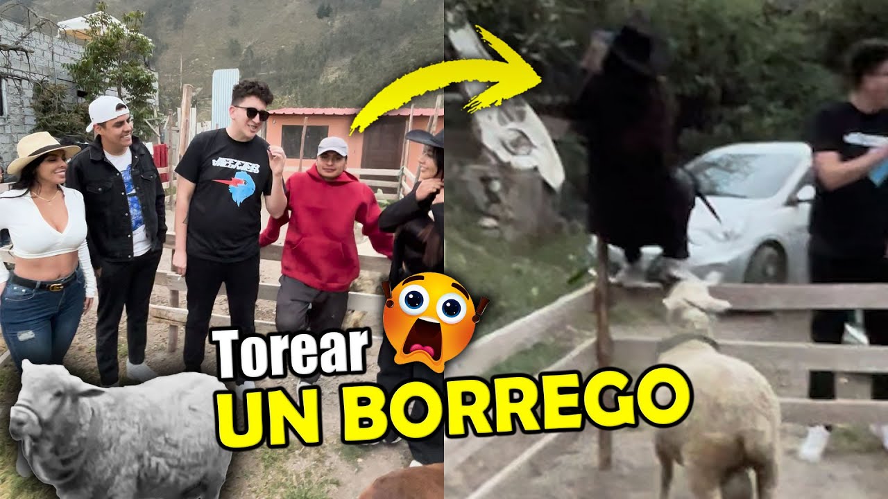 TOREAMOS un BORREGO SALVAJE 😱🐑  | Jeffer Valdiviezo