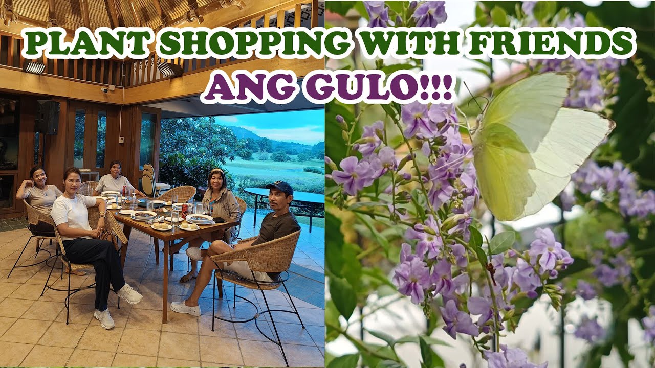 SUMUGOD NA NAMAN ANG MGA PLANTITAS...ANG SAYA!!!