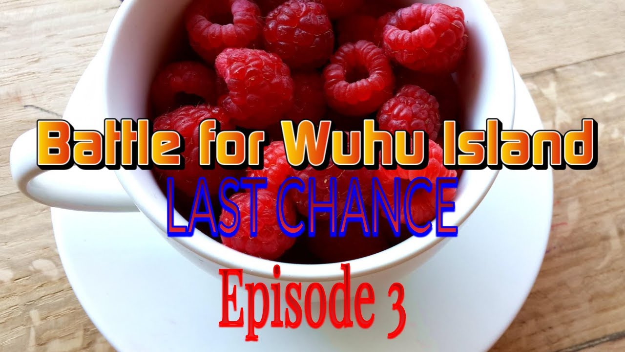 Battle for Wuhu Island: Last Chance - Episode 3