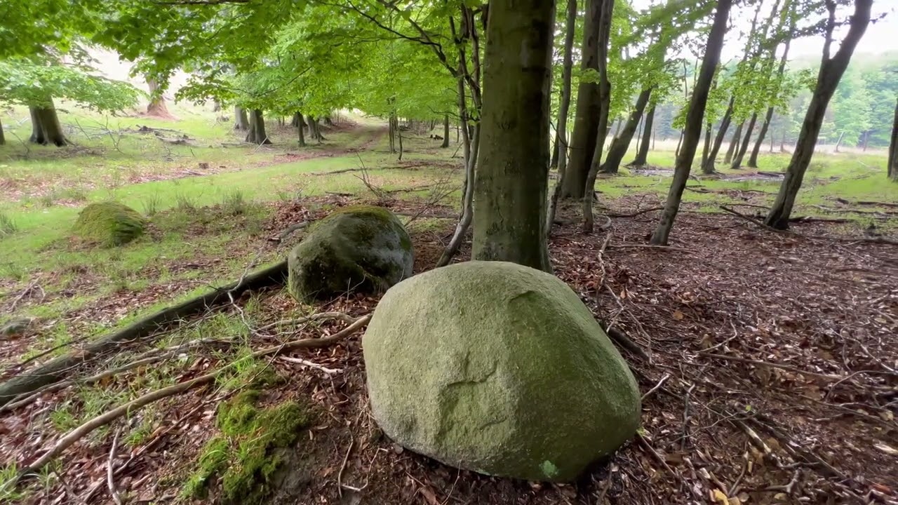 Malé Karpaty 4 (4/2022) 8.5.2022 - Kuchyňa