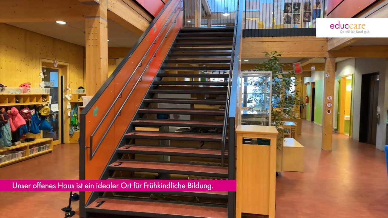 Zaunkönige ein offenes Haus