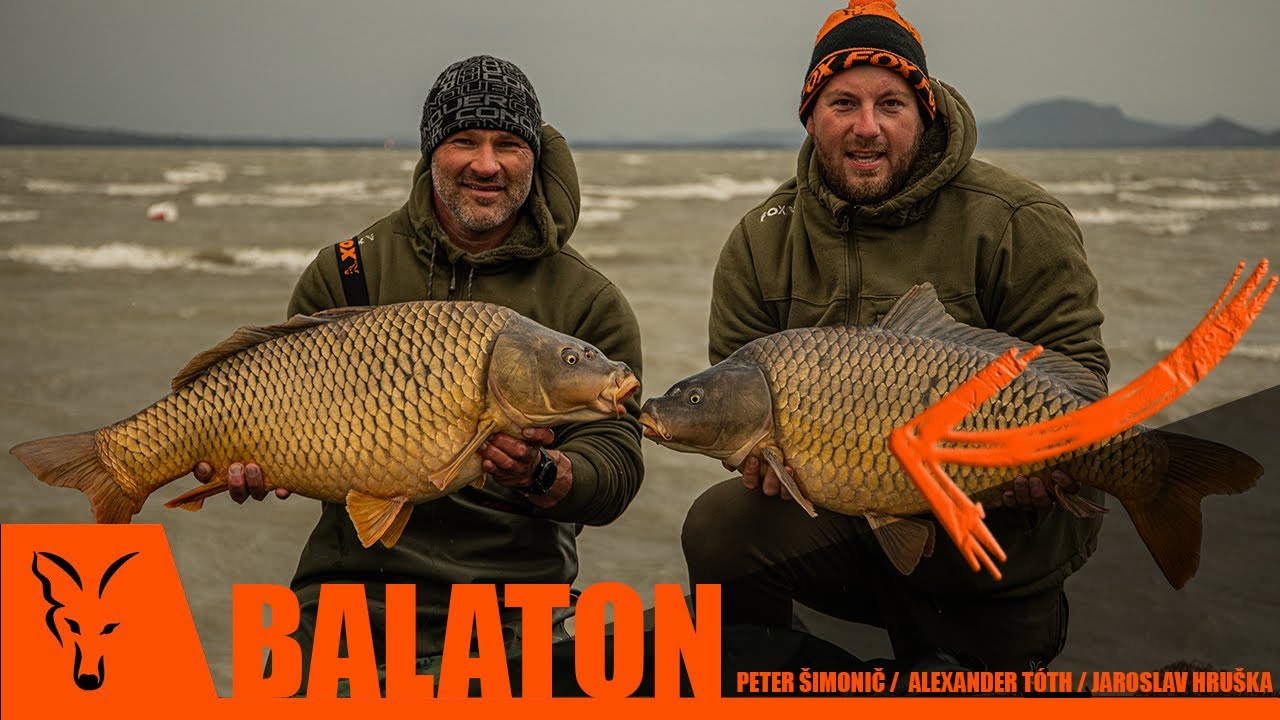 LOV KAPRŮ - BALATON - Peter Šimonič a přátelé