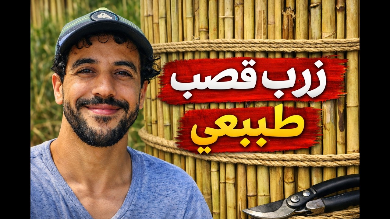 طريقة صحيحة  لعمل رولو قصب او زرب قصب   #القصب #حرفة_يدوية #صناعة_تقليدية