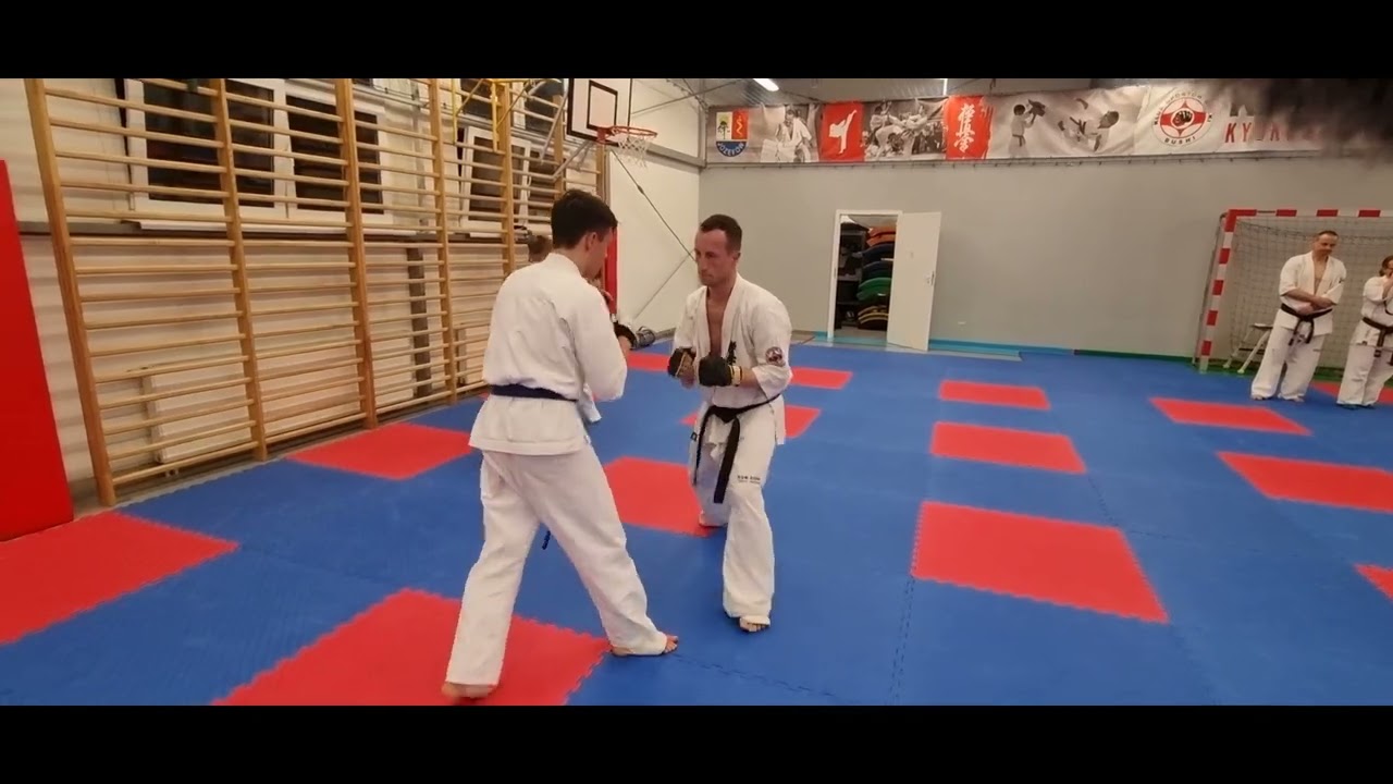 SparringPartner Lifestyle #1 Egzamin na stopnie kyu KSW Bushi