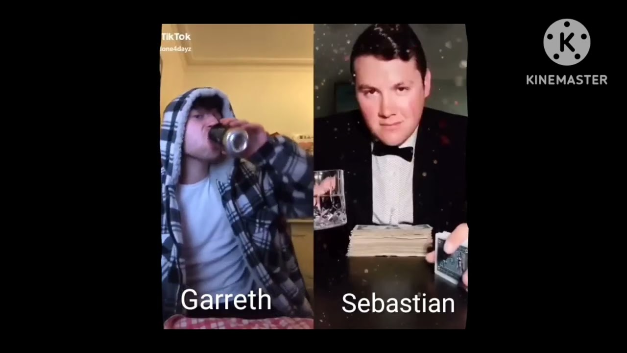 Hogwarts Legacy as Vines 6