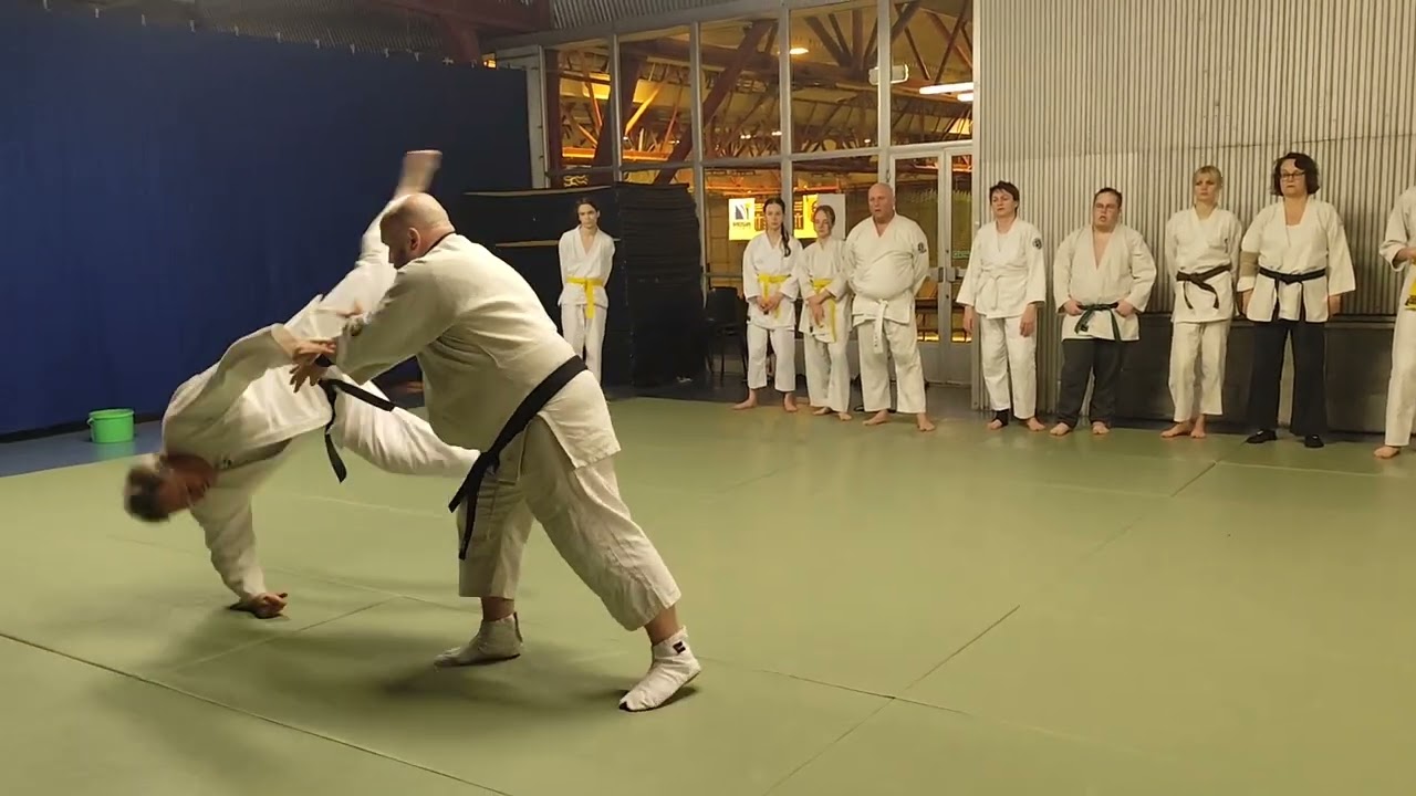 Trening w Bujinkan Dojo Zabrze Kamil Krzemiński Shihan 7 dan AYF 