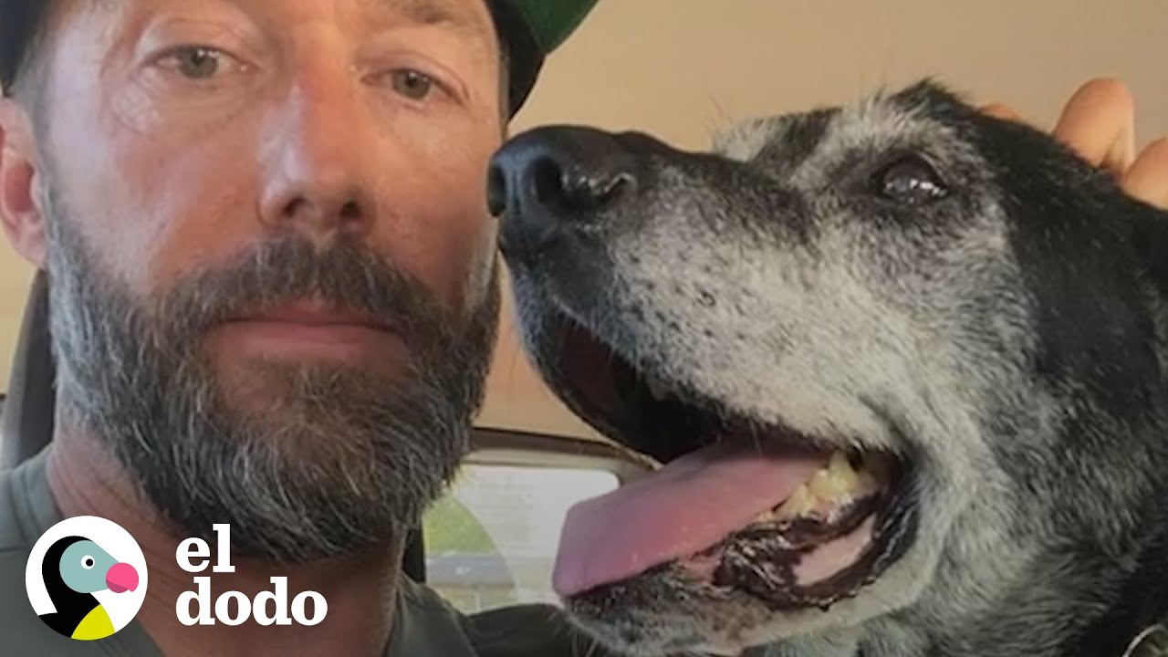 Perro de refugio de 16 años comienza a galopar como un cachorro alrededor de su papá | El Dodo
