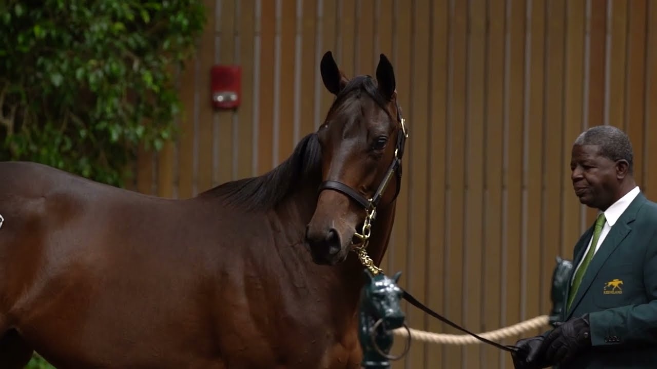 Keeneland September Book 1 Recap