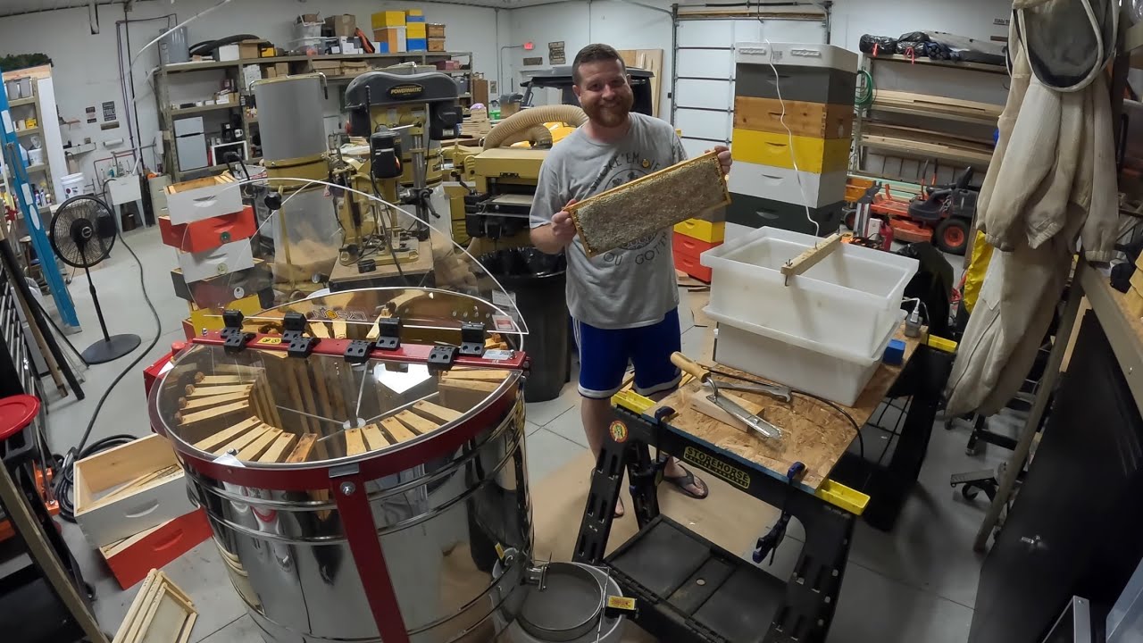 The Lyson 30 Frame Optima Extractor!