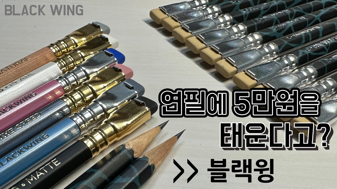 내가 비싼 연필을 쓰는 이유 🍀 블랙윙 🍀 Black Wing 라인업