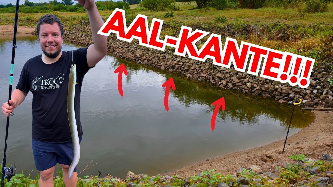 Aalangeln an der Elbe – Monsterbiss, Zauberbuhne & verlorene Aal meines Lebens! #troutfishergermany
