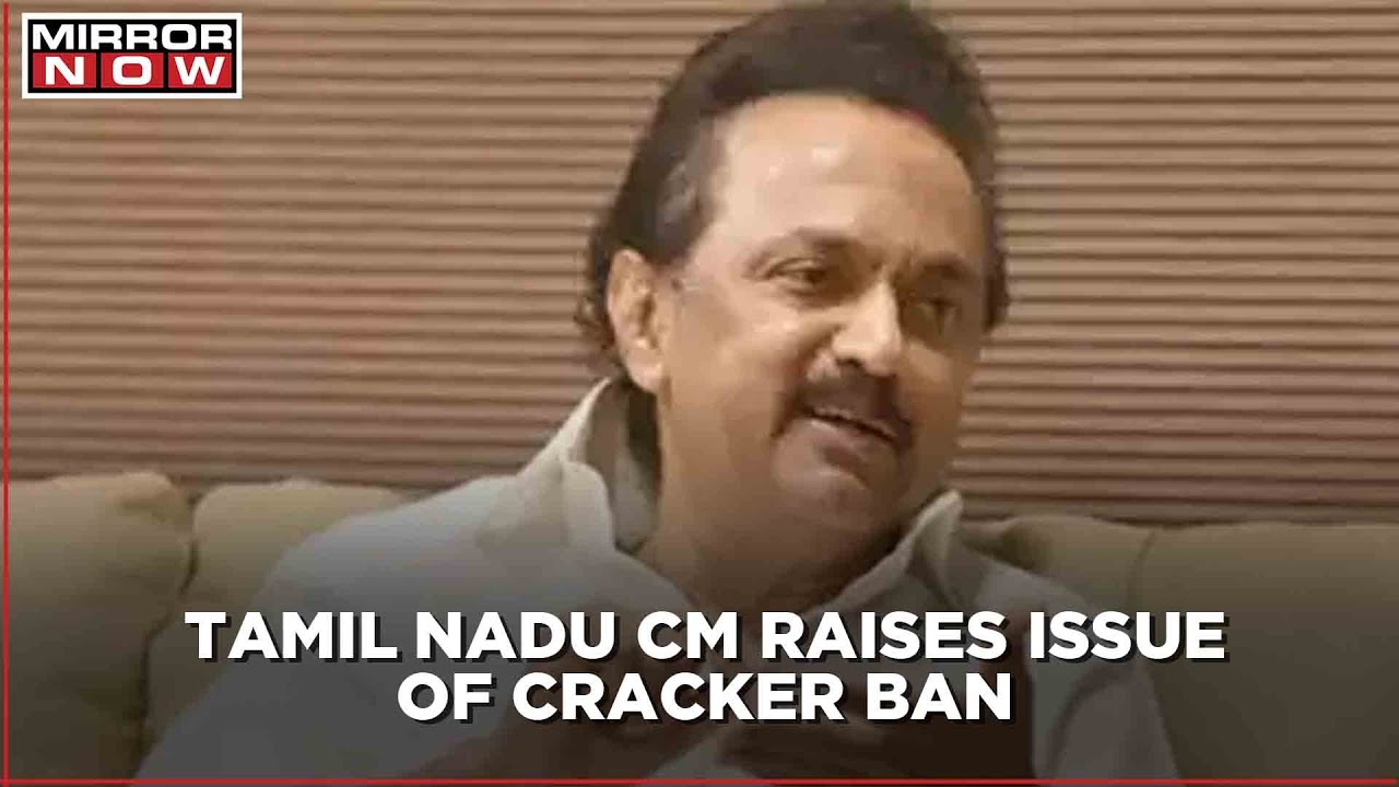 Cracker ban issue: Tamil Nadu CM M K Stalin objects; says 'blanket ban on crackers not reasonable'