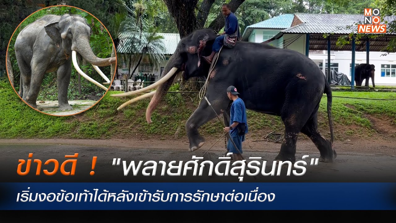 ข่าวดี !  