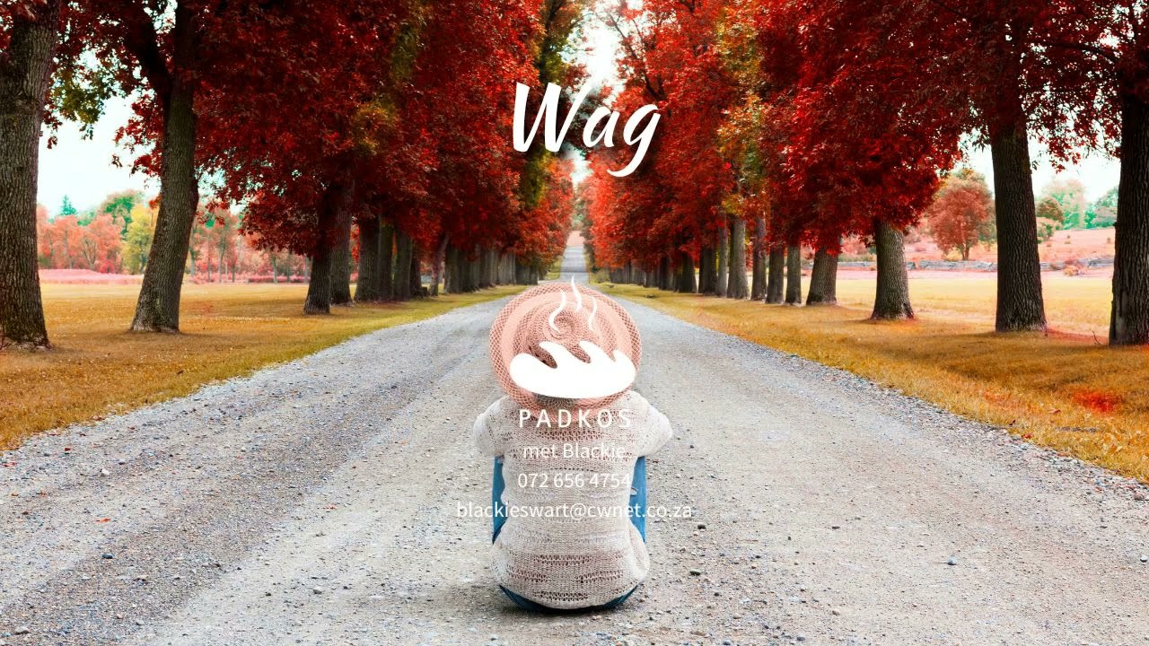 Wag