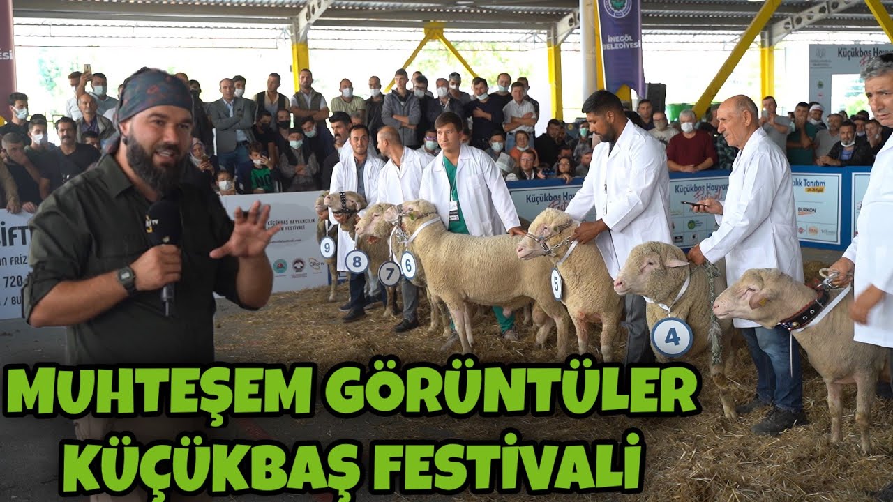 KÜÇÜKBAŞ HAYVANCILIK FESTİVALİNİ SİZİN İÇİN GEZDİM