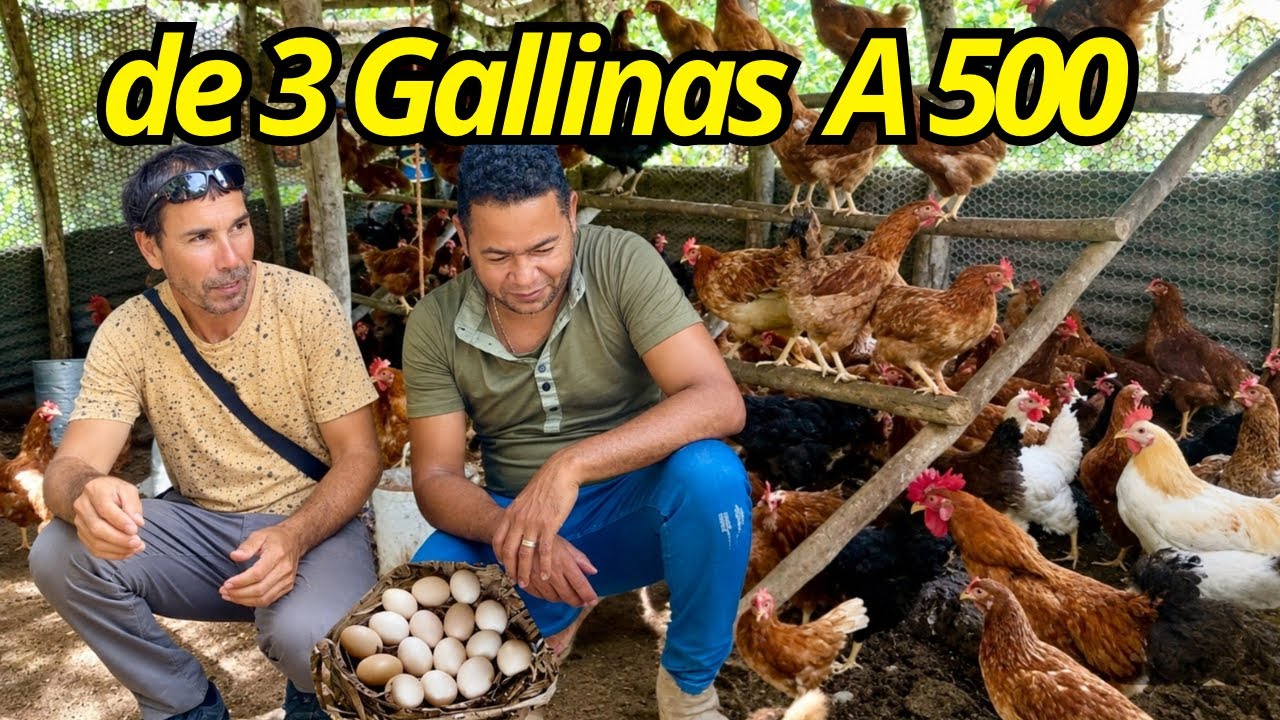 Francis Díaz sorprendido con tantos animales y frutos, La vida del campo