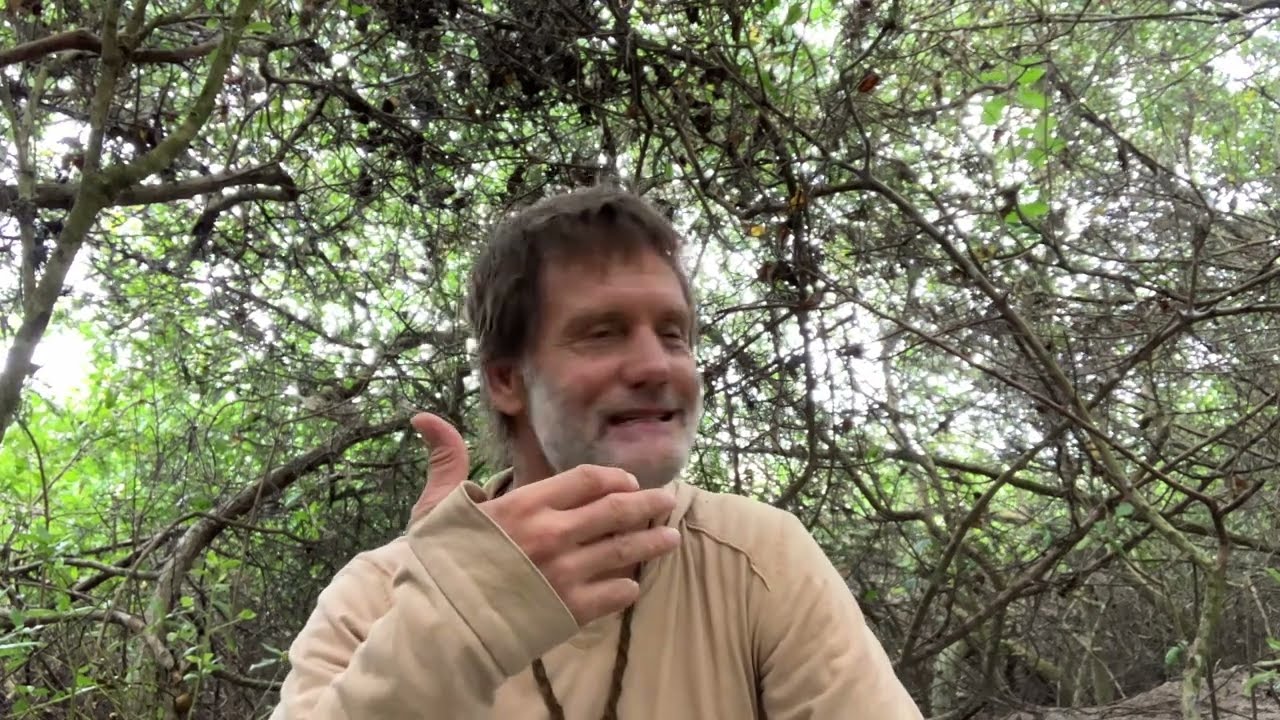Do We Really Have Free Will To &ldquo;Manifest&rdquo;?
