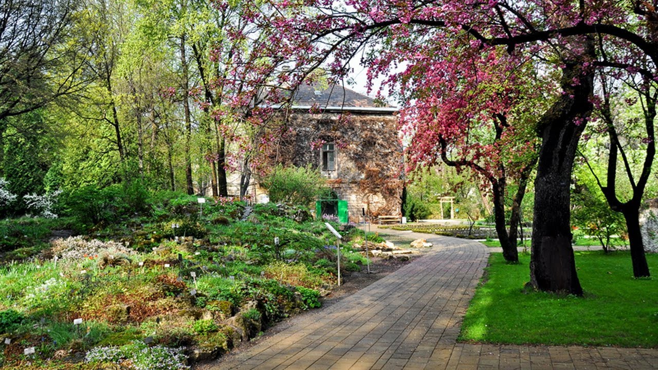 Tavaszi túrák és jótékonysági licit a Füvészkertben