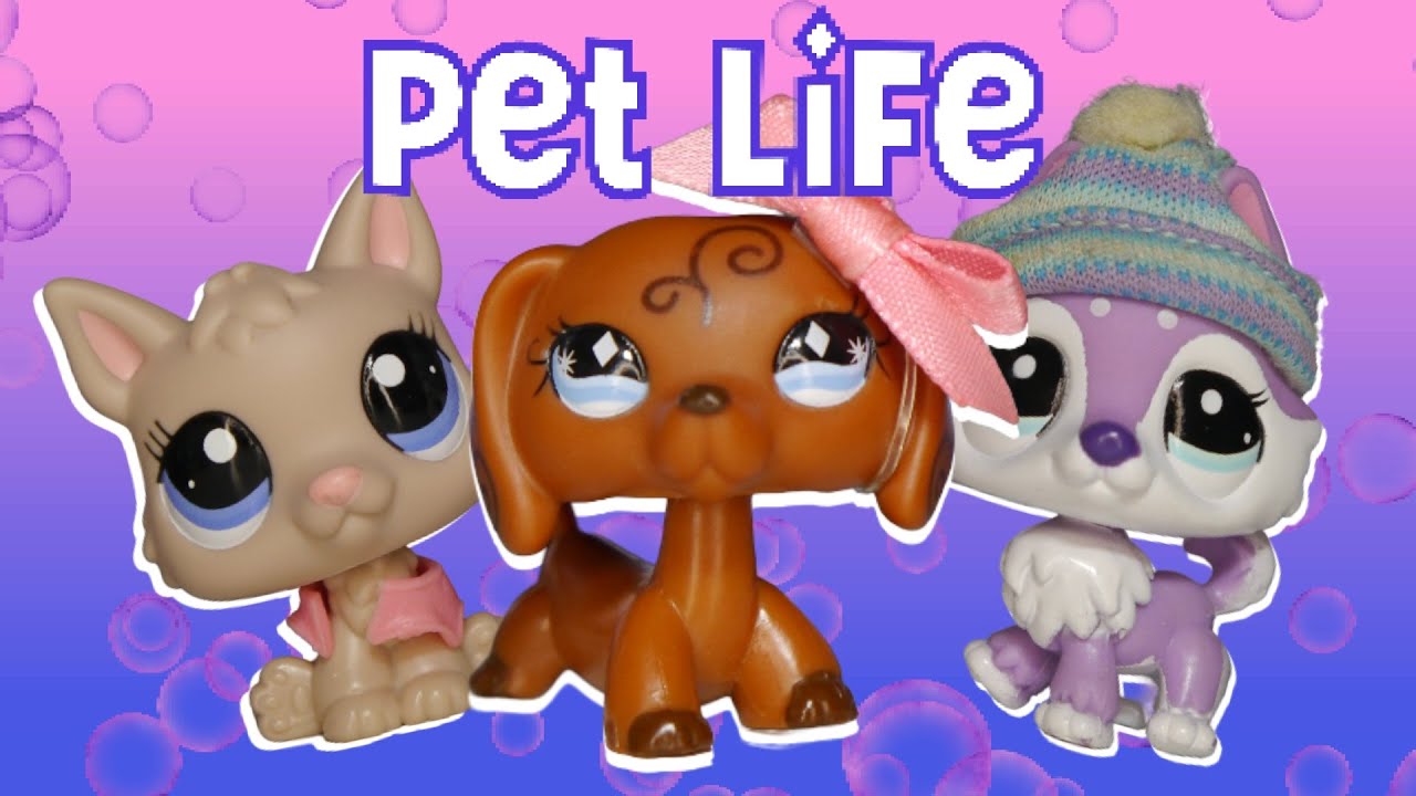 LPS Pet Life (na konkurs RozuLPS)