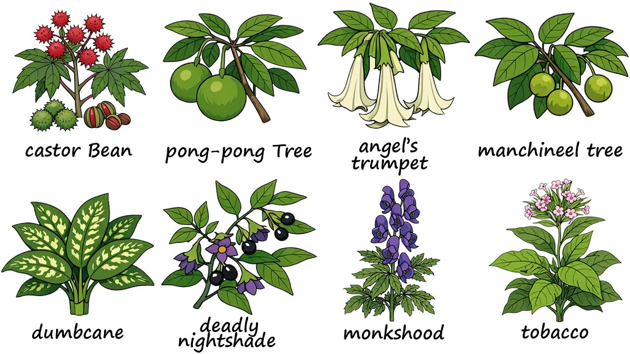 Every DEADLIEST Plant Explained in 16 Minutes