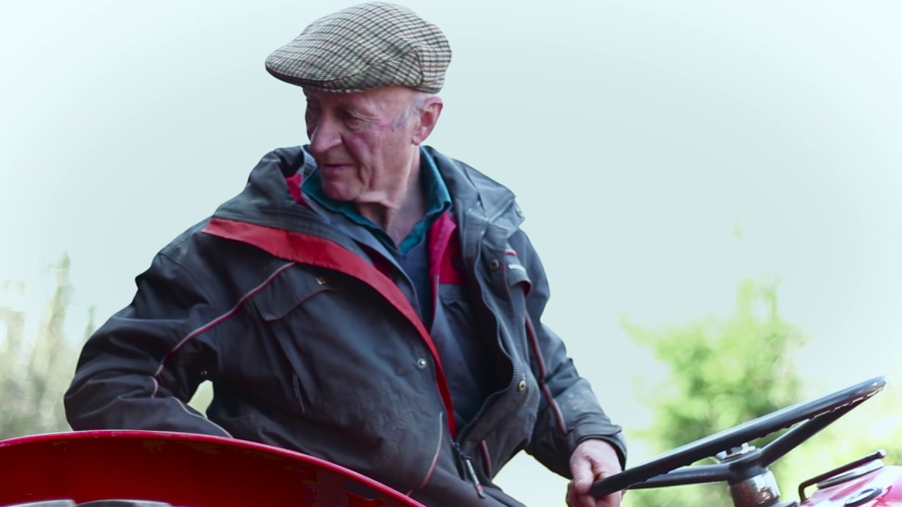 massey brand vid