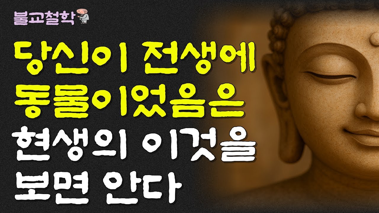 당신이 전생에 동물이었음은 현생의 이것을 보면 안다ㅣ명언ㅣ인생조언ㅣ오디오북부처님말씀ㅣ불교철학