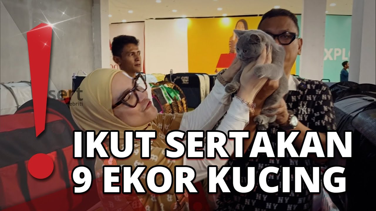 Sempat Dijarah, Kucing Uya Kuya Kembali Ikut Kompetisi