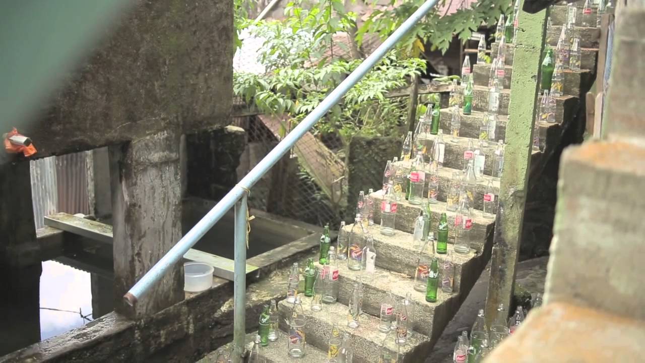 El día que lloró dejó de Llorar