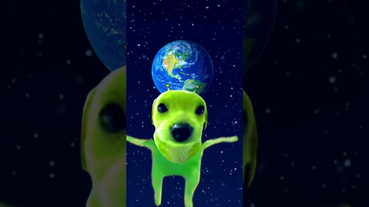 Alien dog#aliendog#