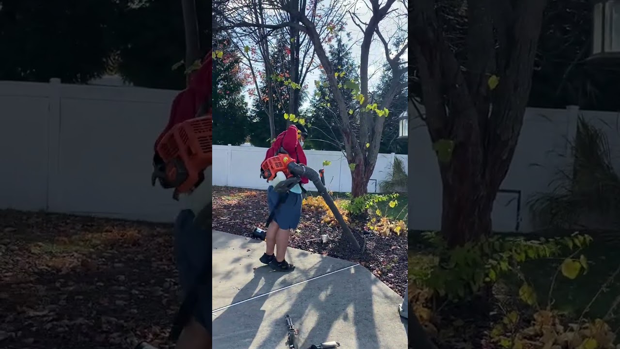 Fall leaf blowing 101