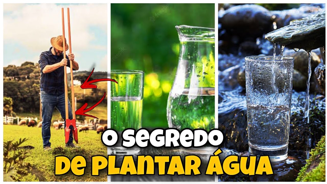 É possível plantar Água? Estamos plantando água no sítio - aprenda como  Reflorestamento e nascentes
