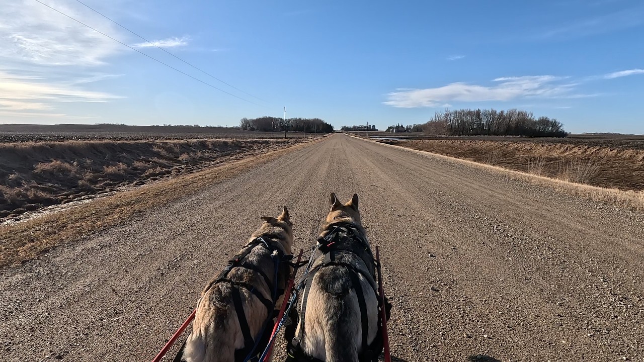 Hilda and Herman exploring a back gravel road